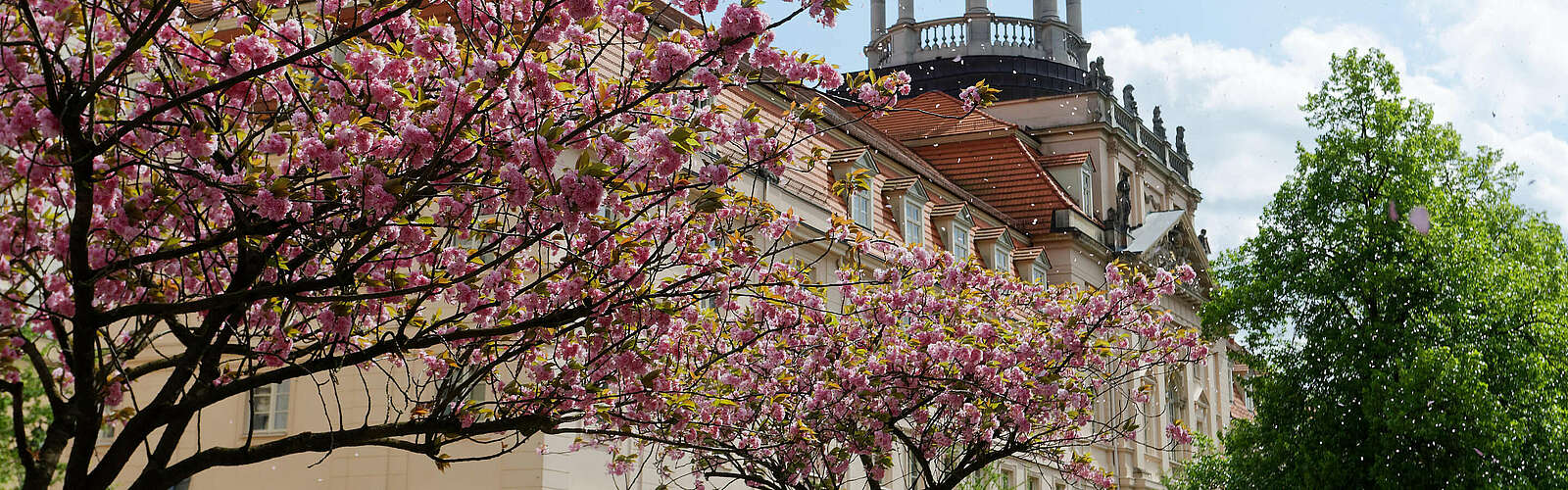 Großes Militärwaisenhaus Potsdam ,
        
    

        
        
            Picture: André Stiebitz