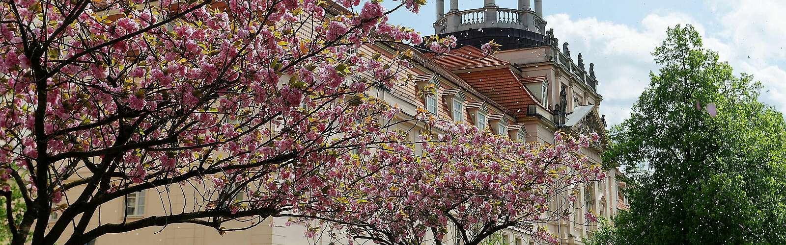 Großes Militärwaisenhaus Potsdam,
            
        
                
                
                    Picture: André Stiebitz